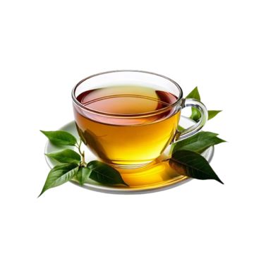 Olives Leaves Tea